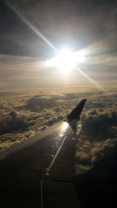 sunny picture