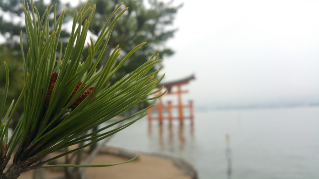 Japanese Scenery
